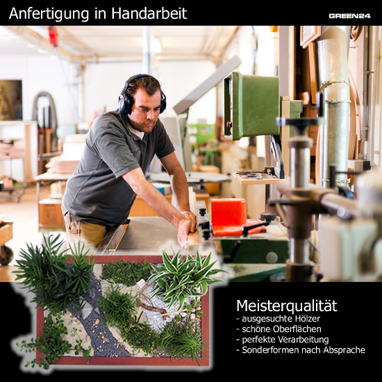 Minigarten einen miniatur zimmer garten gestalten pflanzen ...