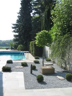 Pool oder Schwimmteich