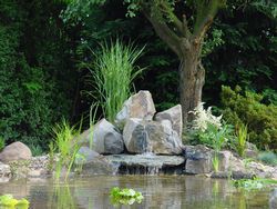 Teich