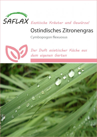 Zitronengras (100 Korn)