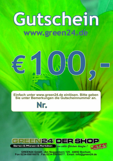 100 Euro Gutschein