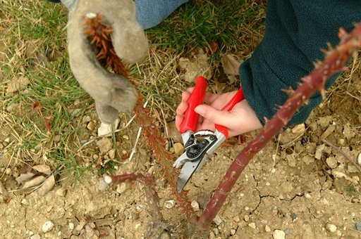 FELCO 10 Hochleistung-Schere Linksh�nder