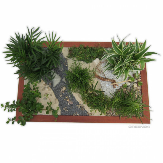 Minigarten - einen Miniatur Zimmer-Garten gestalten - Pflanzen Versand