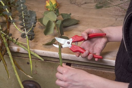 FELCO 300 Ernteschere Leseschere