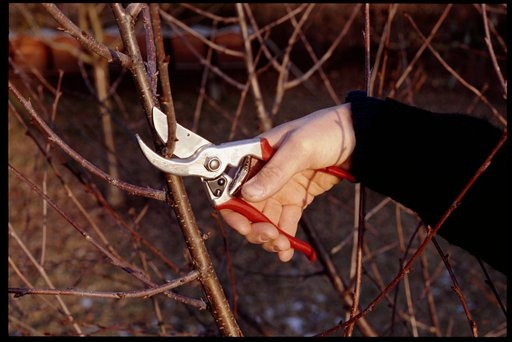 FELCO 4 Gartenschere Basismodell