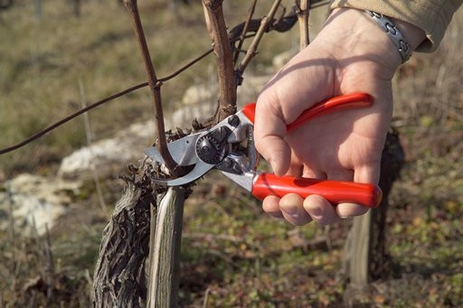 FELCO 7 Rollgriff-Schere Hochleistung