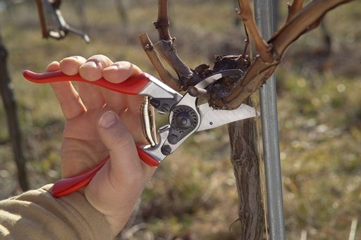FELCO 8 Ergonomische Gartenschere