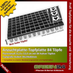 Anzuchtplatte-Topfplatte 84 T�pfe hoch