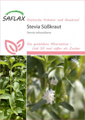 Stevia S��kraut (100 Korn)