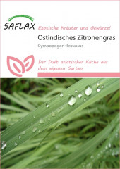 Zitronengras (100 Korn)