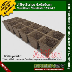 12 Jiffy-T�pfe, Jiffy-Strips 6x6x6cm