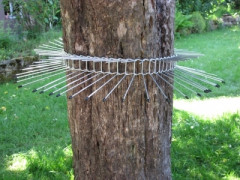 Katzenabwehrg�rtel bis 115 cm Baumumfang