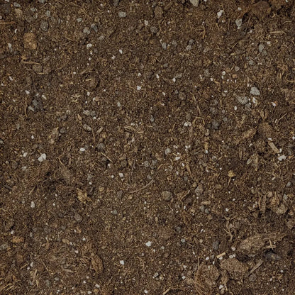 Nahaufnahme der Struktur der GREEN24 Zitruspflanzen-Erde