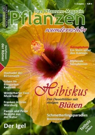 Pflanzen wunderschön – Ausgabe 7: Herbst