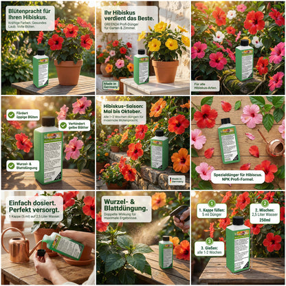 Hibiskus-Dünger 250ml – Spezial-Flüssigdünger für alle Hibiskus-Arten (Garten & Zimmer) | Fördert üppige Blüten, verhindert gelbe Blätter & sorgt für kräftiges Wachstum | NPK Profi-Pflege für Hibiscus