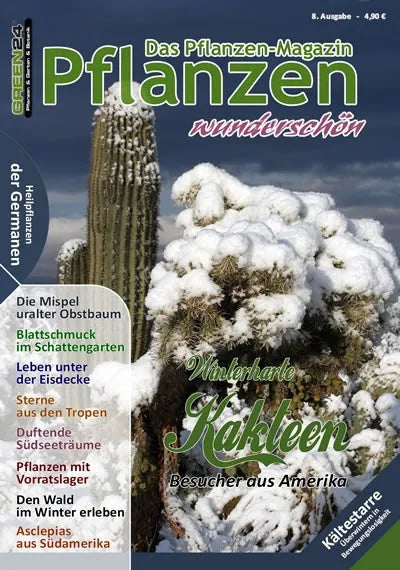 Pflanzen wunderschön – Ausgabe 8: Winter