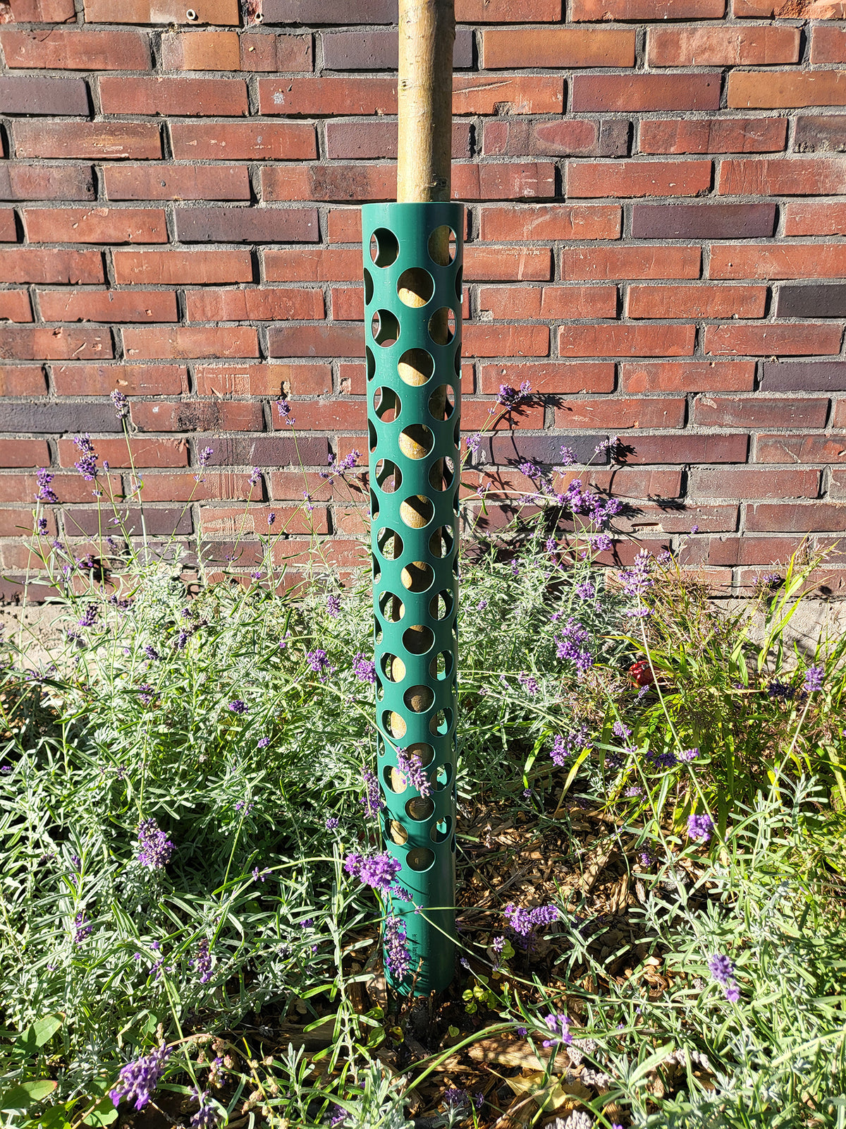 Grüner Stammschutz 80 cm an einem jungen Baumstamm