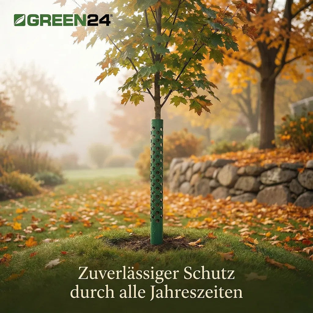 Anwendungsillustration: grüner Stammschutz an einem jungen Baum im Herbst