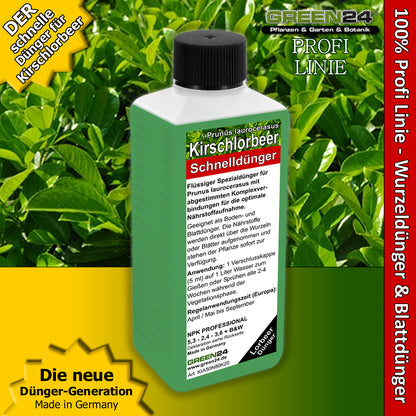 Kirschlorbeer-Dünger