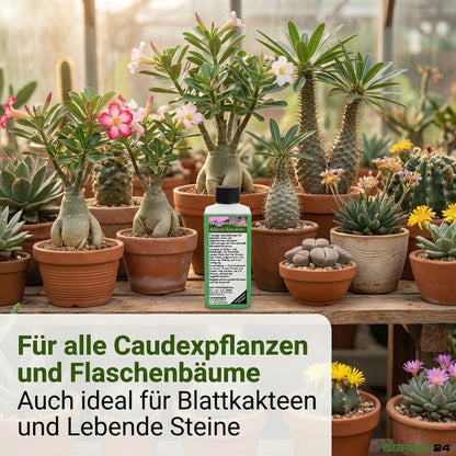 Wüstenrosen Dünger – Zusatzbild 5