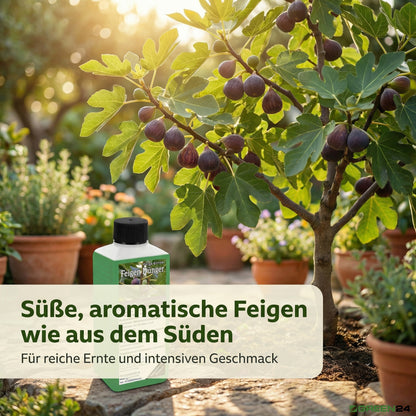 Feigen-Dünger – Zusatzbild 4