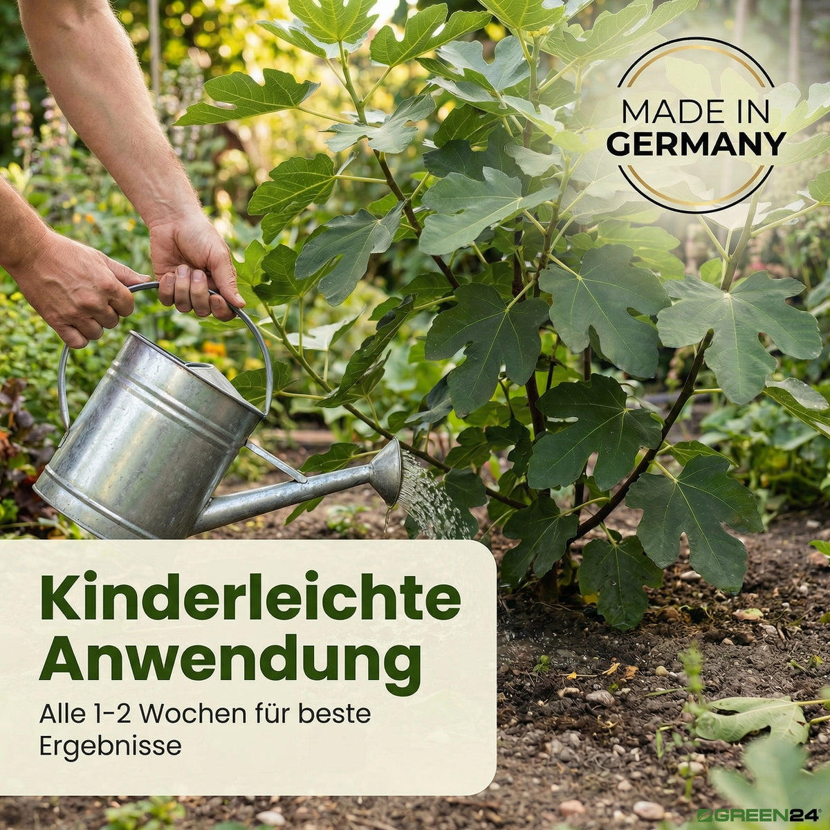 Feigen-Dünger – Zusatzbild 5