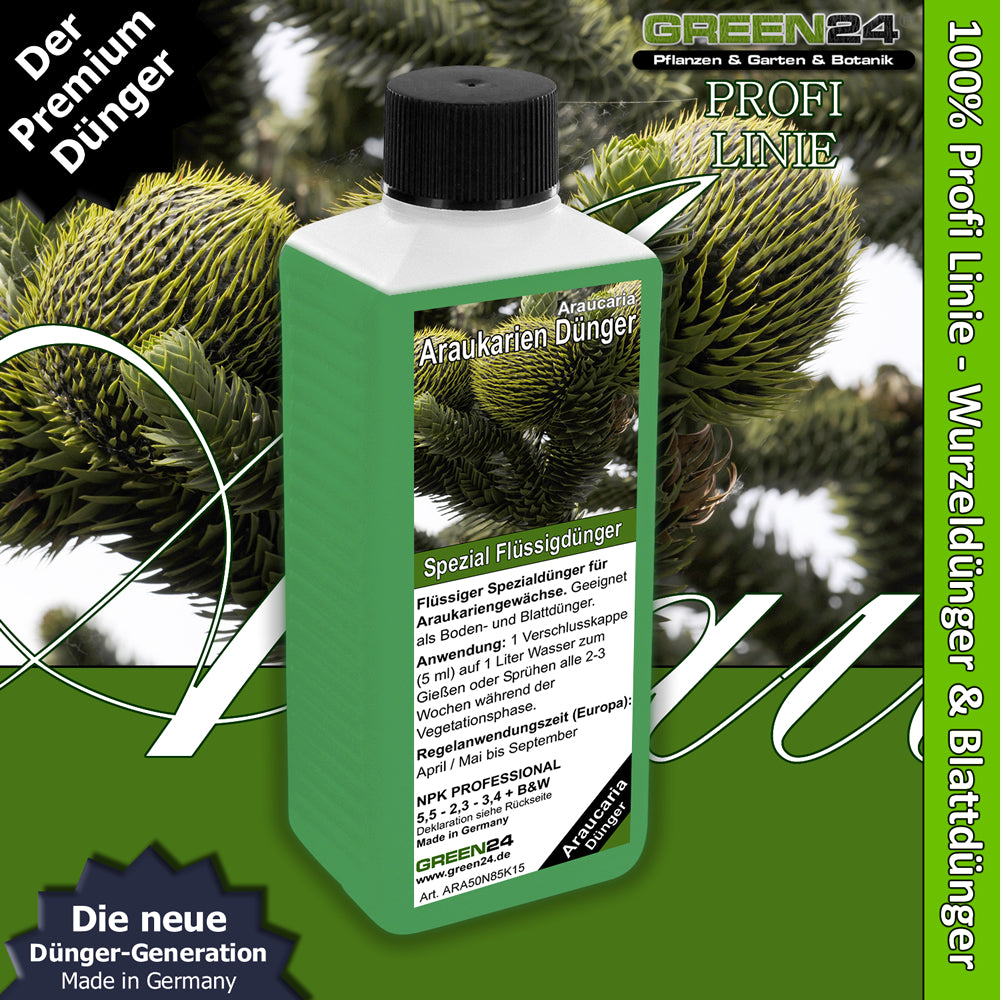 Araucaria Fertilizer – 250ml Specialized Fertilizer for Araucaria Species | For Majestic Norfolk Pines & Monkey Puzzles | Ideal for All Ornamental Pines & Living Fossils