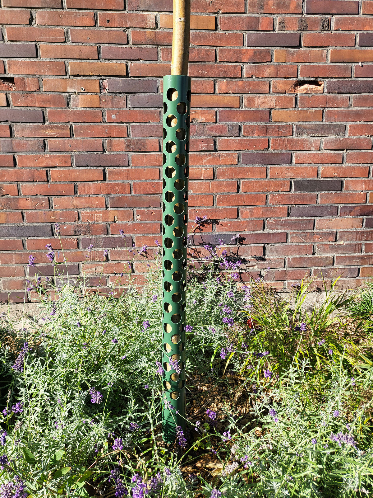 Grüner Stammschutz 100 cm an einem jungen Baumstamm