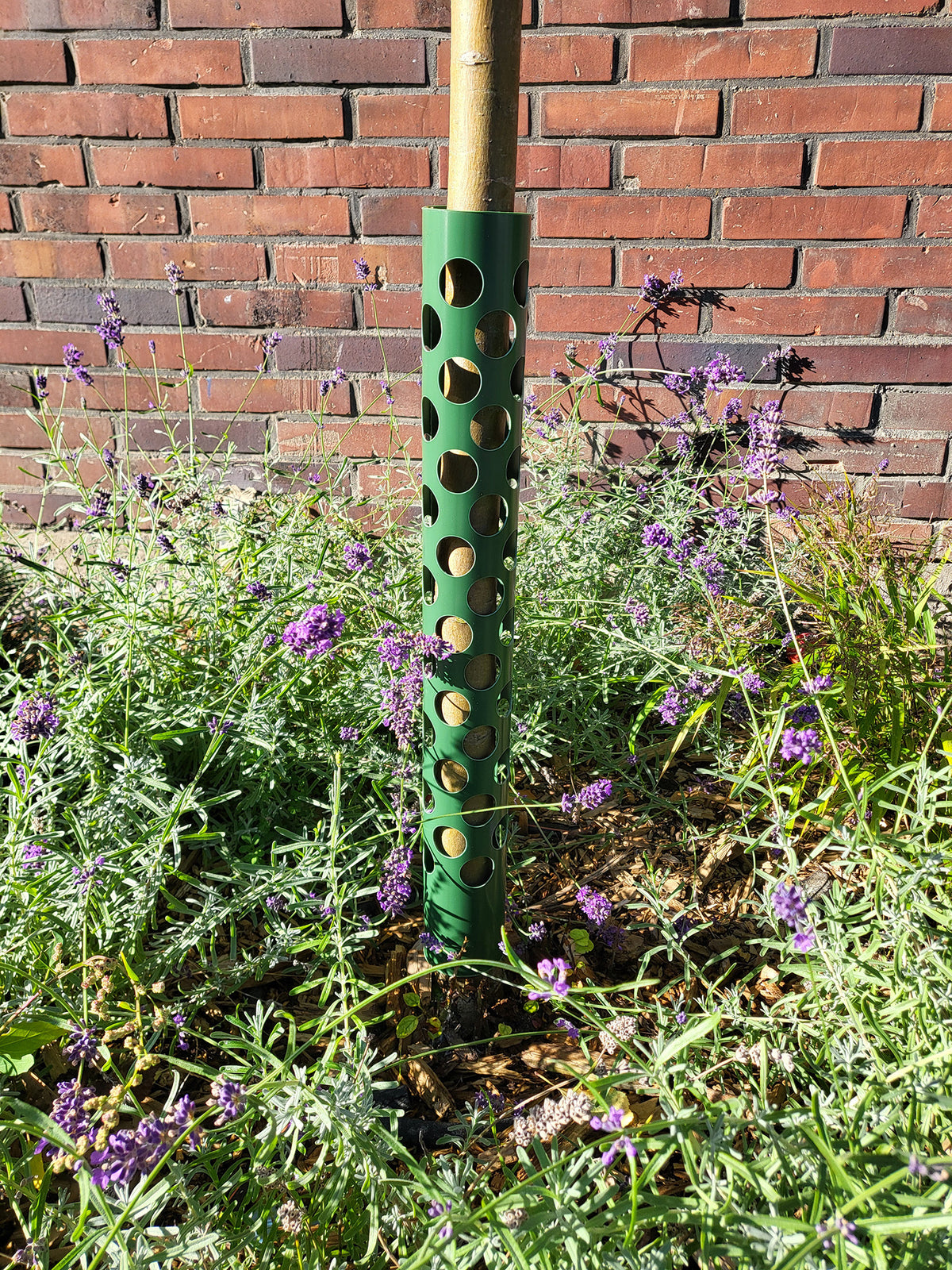 Grüner Stammschutz 60 cm an einem jungen Baumstamm