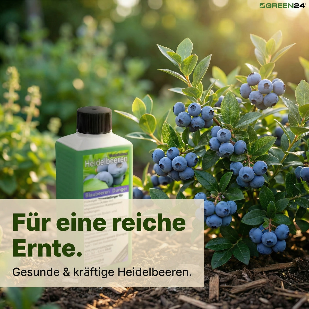 Heidelbeer-Dünger – Zusatzbild 5