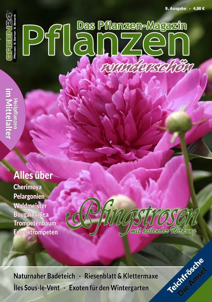 Pflanzen wunderschön – Ausgabe 9: Frühling