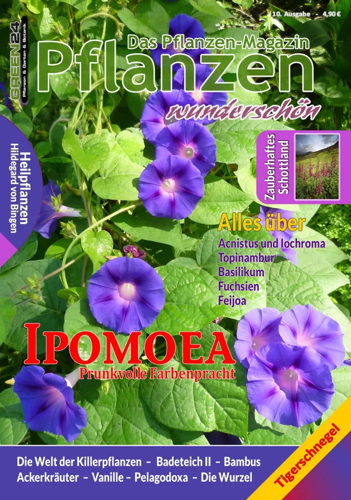 Pflanzen wunderschön – issue 10: summer