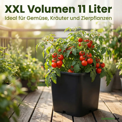 11-litre pot with tomato plant, usage example