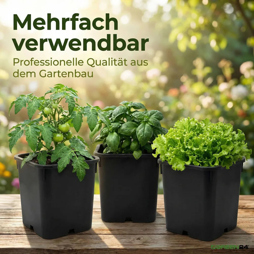 Reusable pots with vegetables and herbs