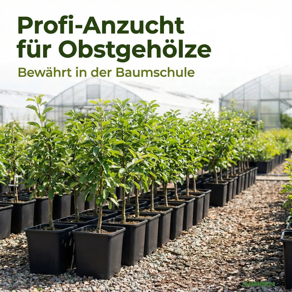11-litre pots in a nursery, usage example