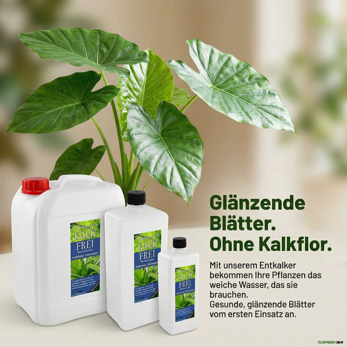 Herstellermotiv der Anti-Kalk-Serie mit verschiedenen Gebindegrößen vor einer Blattpflanze