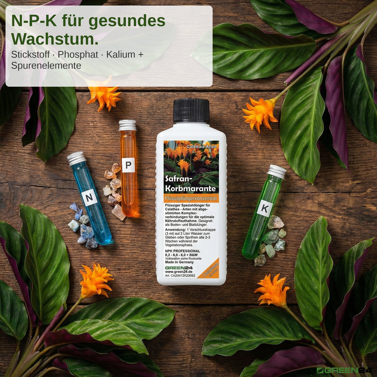 Calathea Crocata - Dünger (Safran-Korbmarante) - Mineralischer NPK Flüssigdünger 250ml – Zusatzbild 4