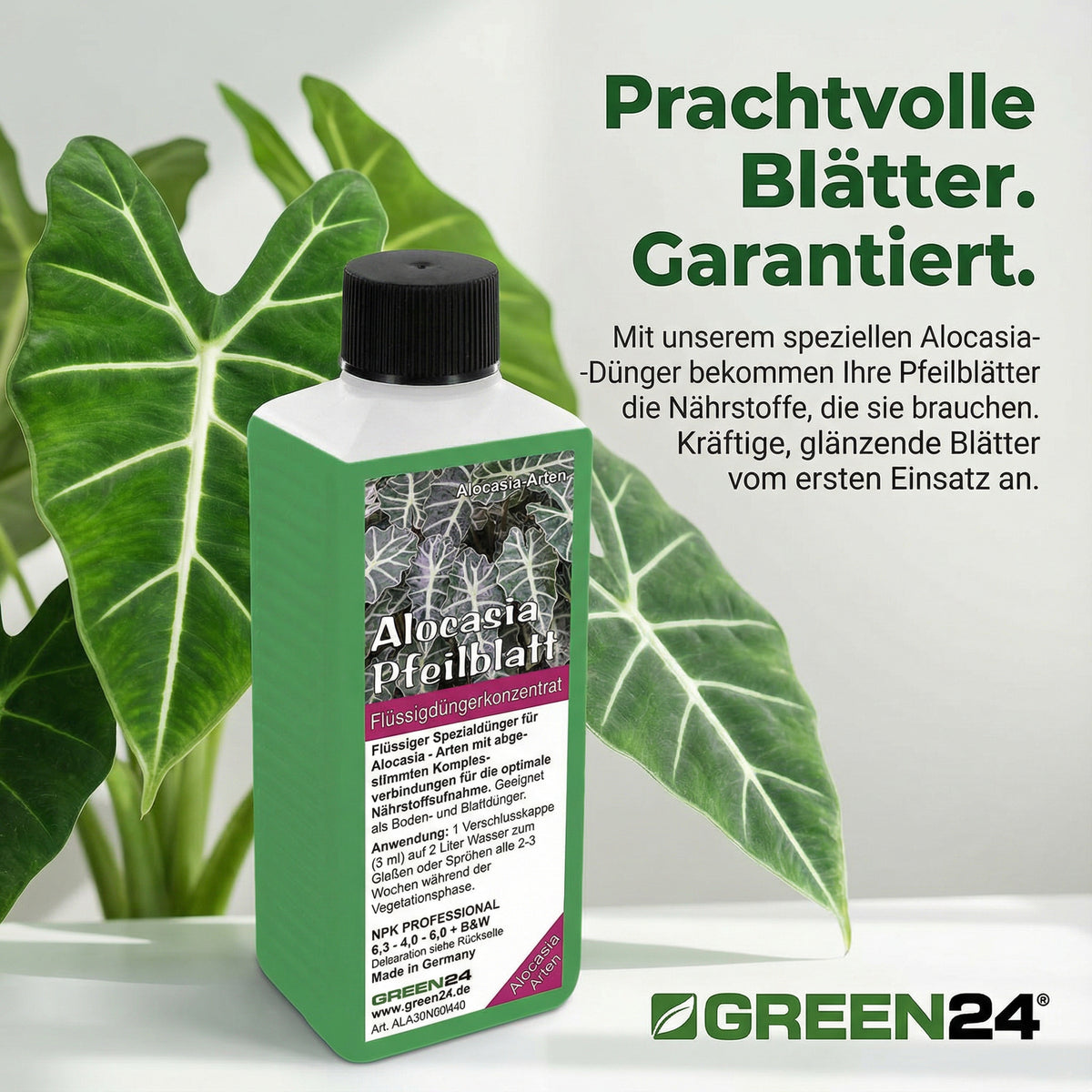 Alocasia Dünger 250 ml – Zusatzbild 2