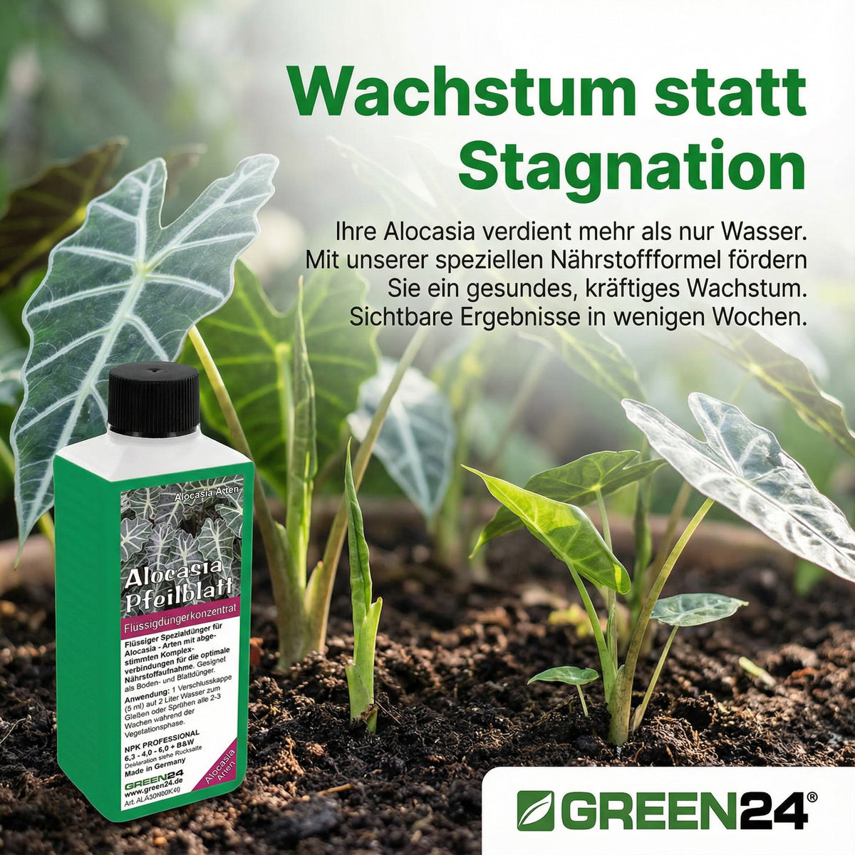 Alocasia Dünger 250 ml – Zusatzbild 3