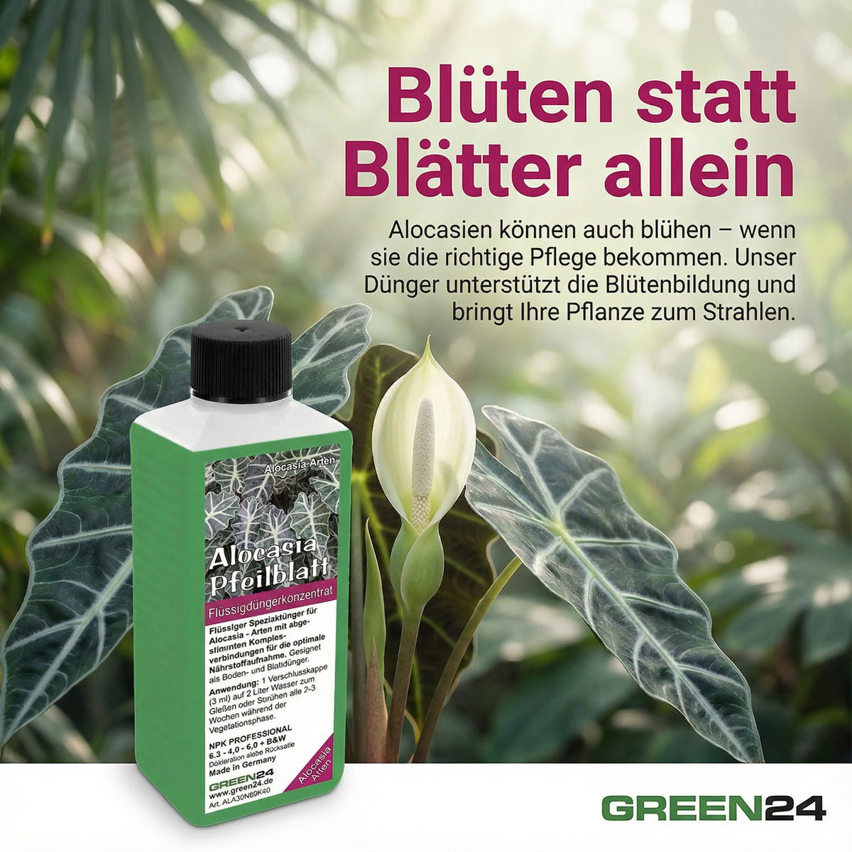 Alocasia Dünger 250 ml – Zusatzbild 4