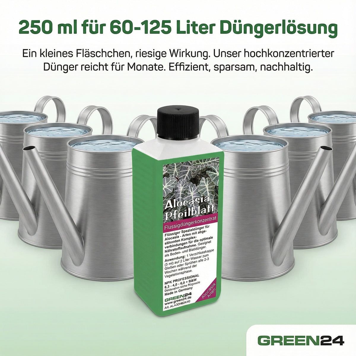Alocasia Dünger 250 ml – Zusatzbild 5