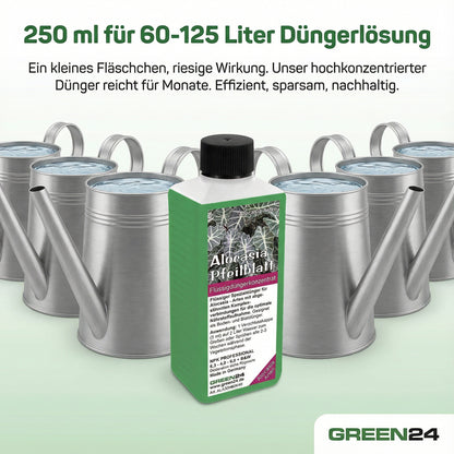 Alocasia Dünger 250 ml – Zusatzbild 5