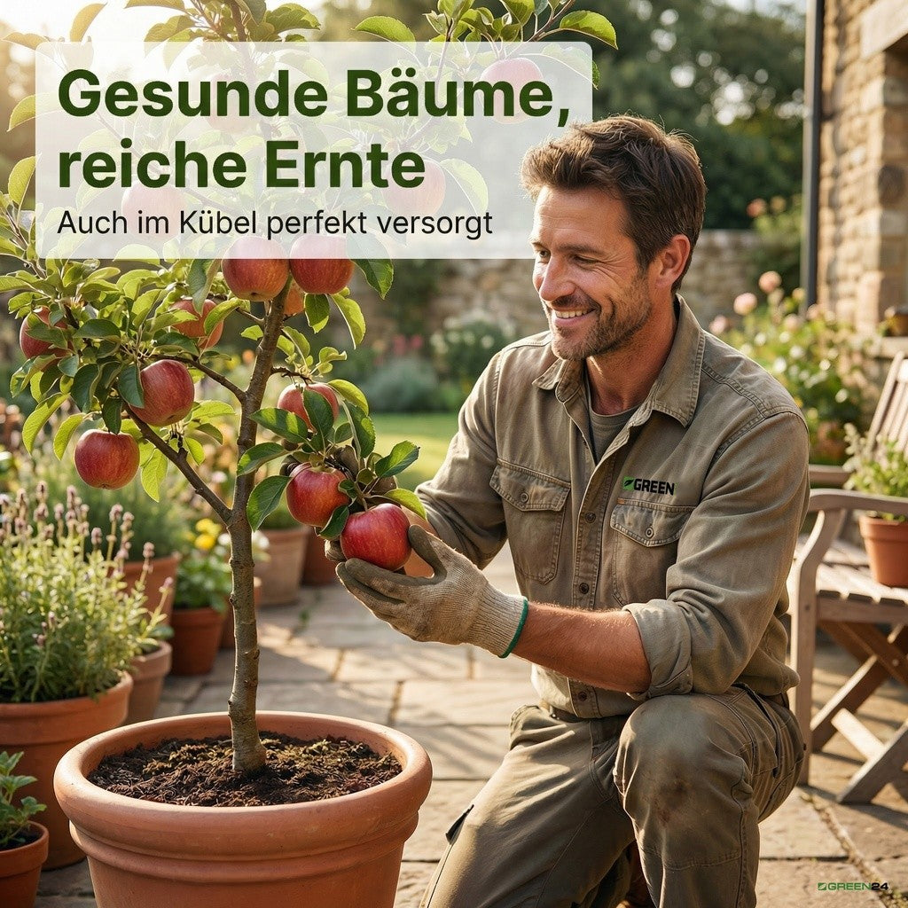 Apfelbaum-Dünger – Zusatzbild 5