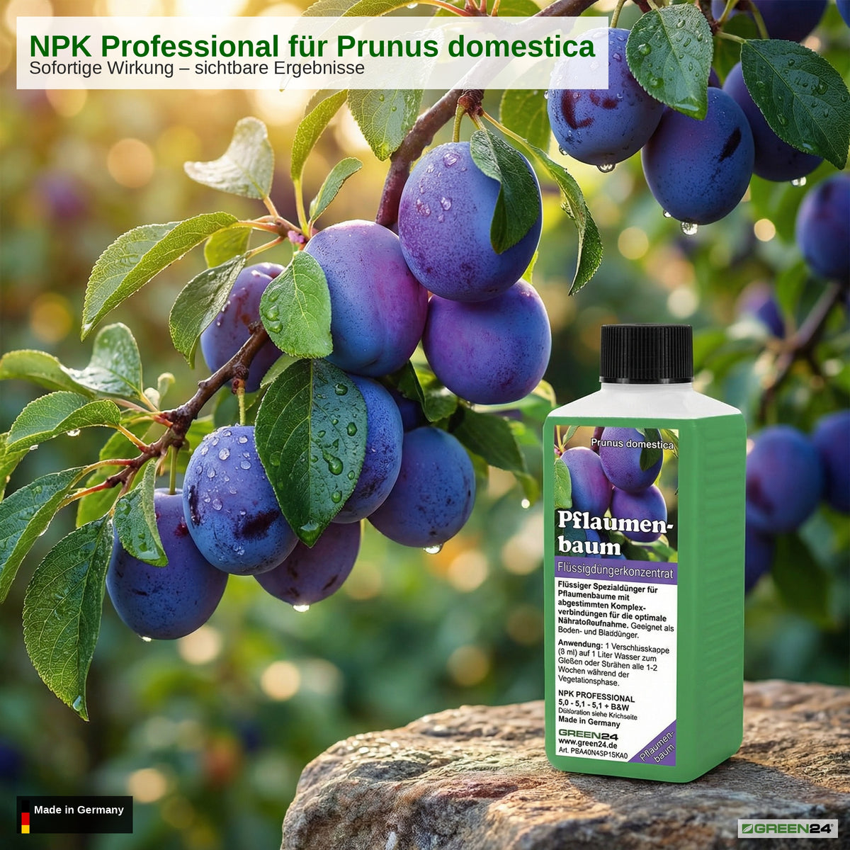 Pflaumenbaum-Dünger – Zusatzbild 3