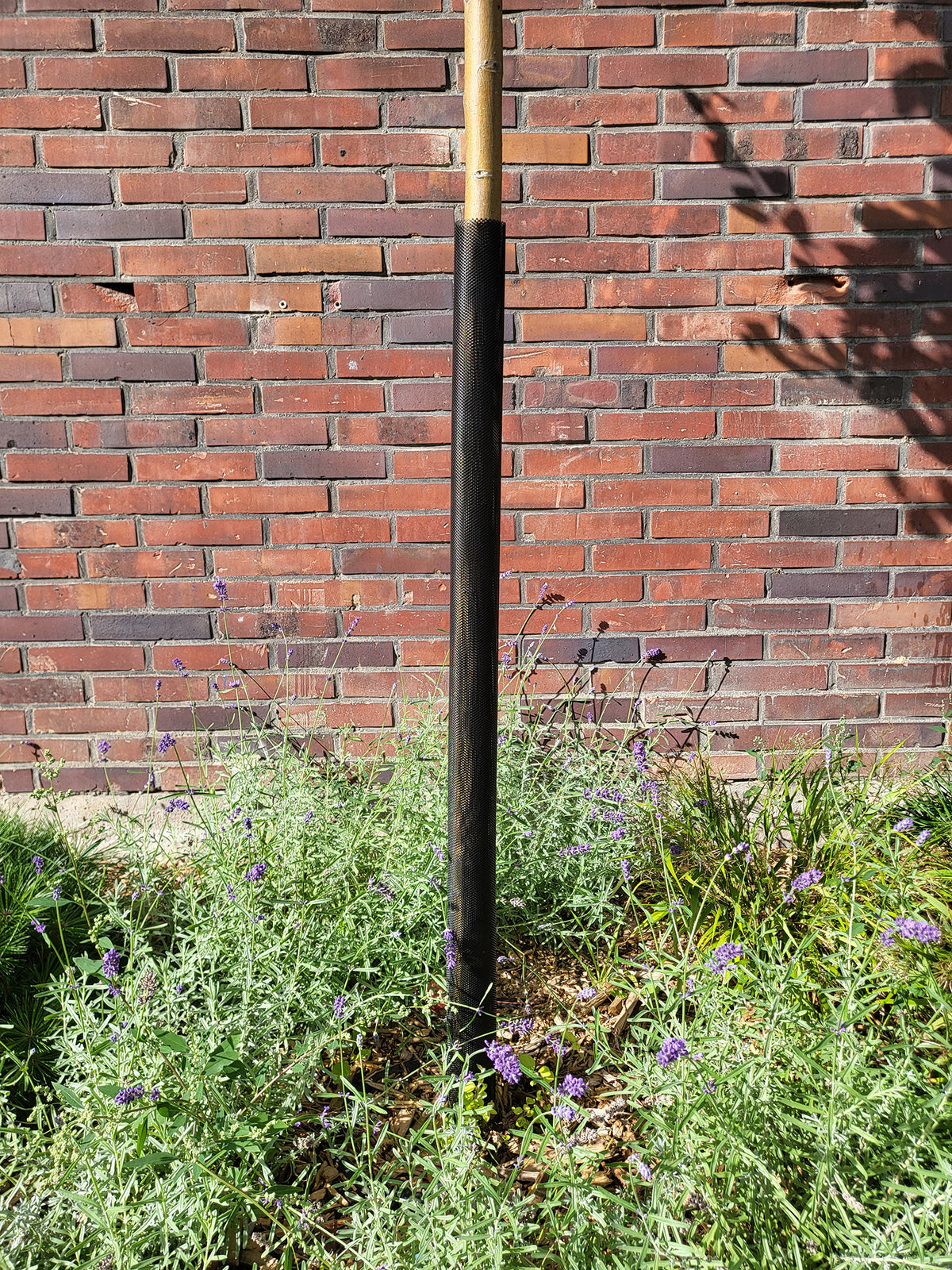 Schwarze Mesh-Baumschutzmanschette 110 cm an einem jungen Baumstamm