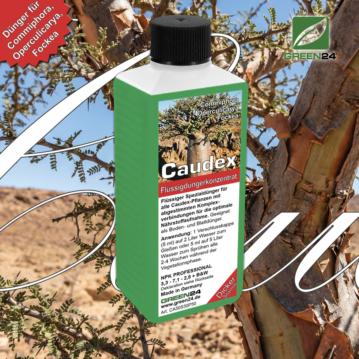 Caudex Dünger – Spezial-Flüssigdünger für Commiphora, Operculicarya, Fockea & alle Caudex-Pflanzen