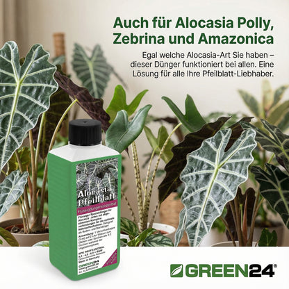 Alocasia Dünger 250 ml – Anwendung und Produktinformationen 6