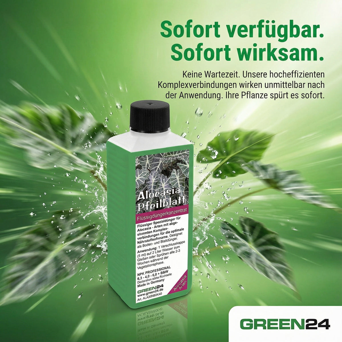 Alocasia Dünger 250 ml – Anwendung und Produktinformationen 9