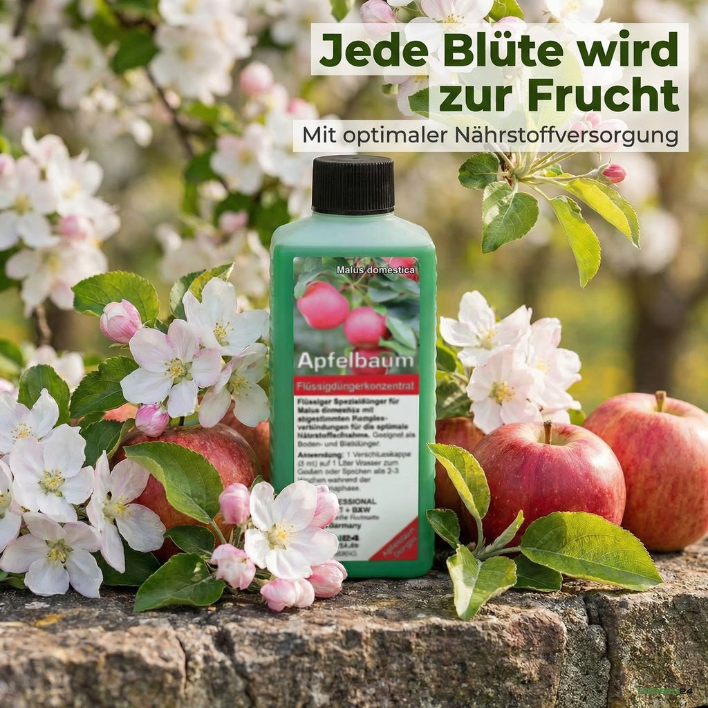 Apfelbaum-Dünger – Anwendung und Produktwissen 8