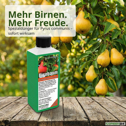 Birnbaum-Dünger – Anwendung und Produktwissen 6